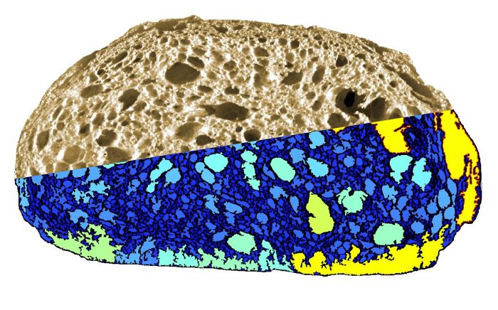 c-cell – bild 3