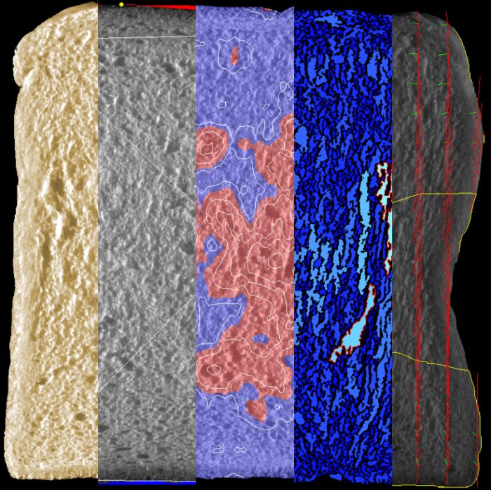 c-cell - krusten- und krumenanalyse von toastbrot in fünf unterschiedlichen ansichten