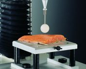 p 1s kugelsonde fisch