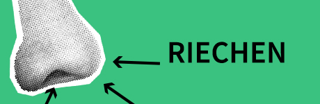 banner zum thema riechen