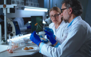 wino zusammenarbeit fei titelbild