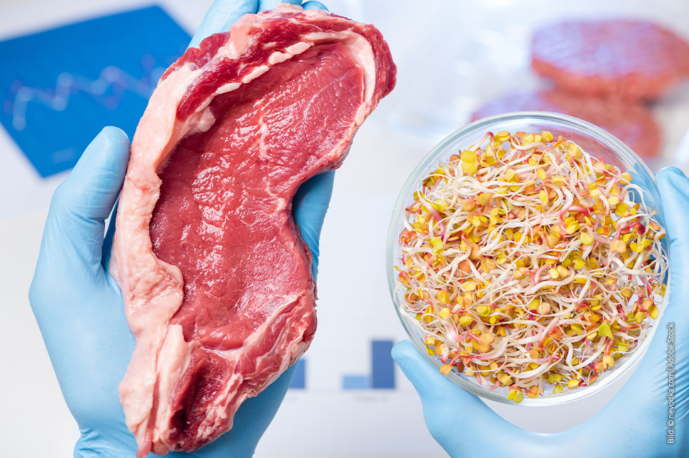 Muss Fleischersatz wie Fleisch sein? Warum alternative Proteine ein messbares sensorisches Zielprofil brauchen wino news titelbild zielprofil